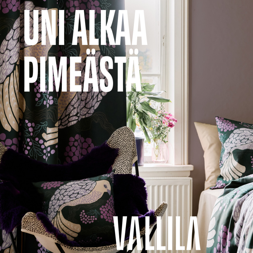 ERÄ VALLILAN VERHOJA