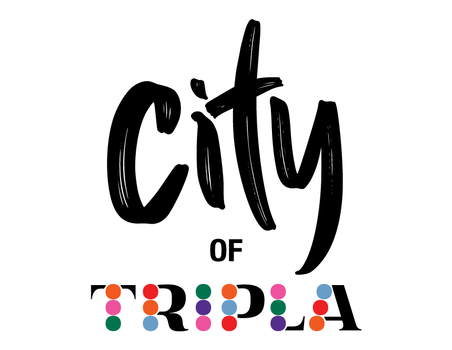 News - Haku City of Triplan kaupunginvaltuustoon